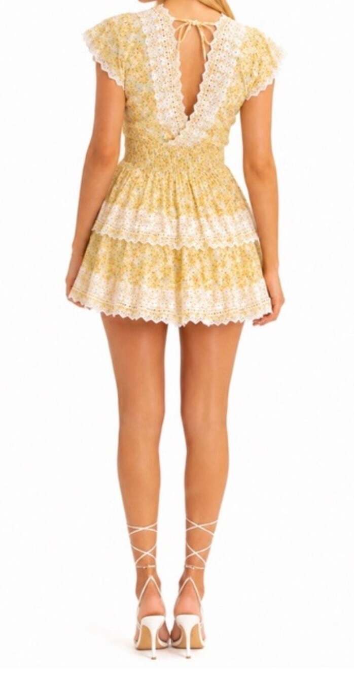 American Eagle Yellow Floral Layered Lace Boho Mini Dress - Picture 3 of 11